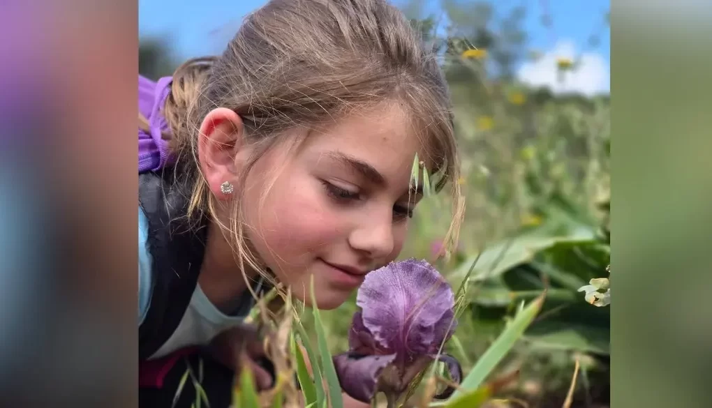 Faqu'a süseni: Batı Şeria'da doğa turizminin yeni yüzü