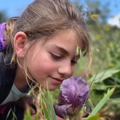 Faqu'a süseni: Batı Şeria'da doğa turizminin yeni yüzü