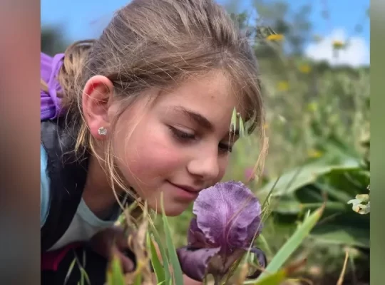Faqu'a süseni: Batı Şeria'da doğa turizminin yeni yüzü
