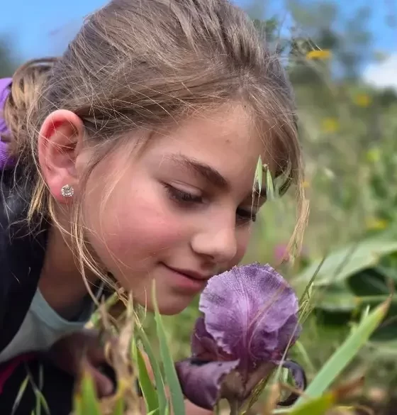 Faqu'a süseni: Batı Şeria'da doğa turizminin yeni yüzü