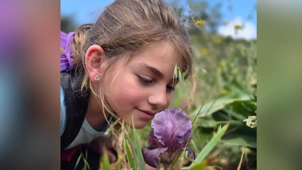 Faqu'a süseni: Batı Şeria'da doğa turizminin yeni yüzü