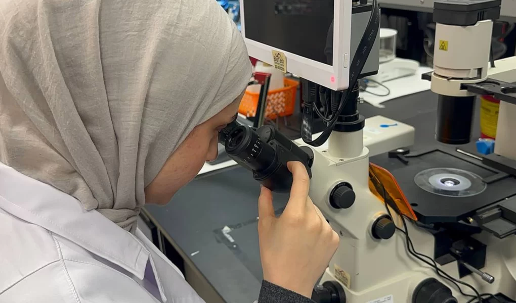 Filistinli tıp öğrencisinden beyin biliminde büyük başarı