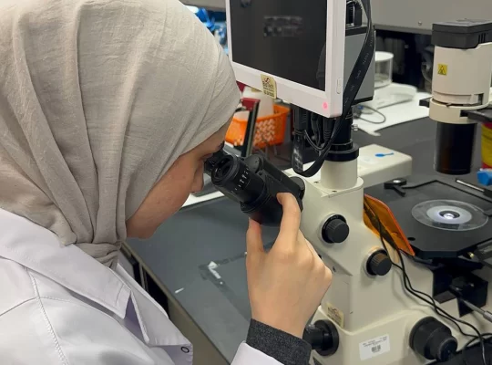 Filistinli tıp öğrencisinden beyin biliminde büyük başarı