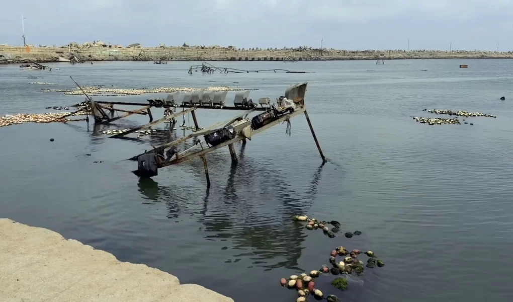 Gazze'de balıkçılık sektörü yok olma tehlikesiyle karşı karşıya