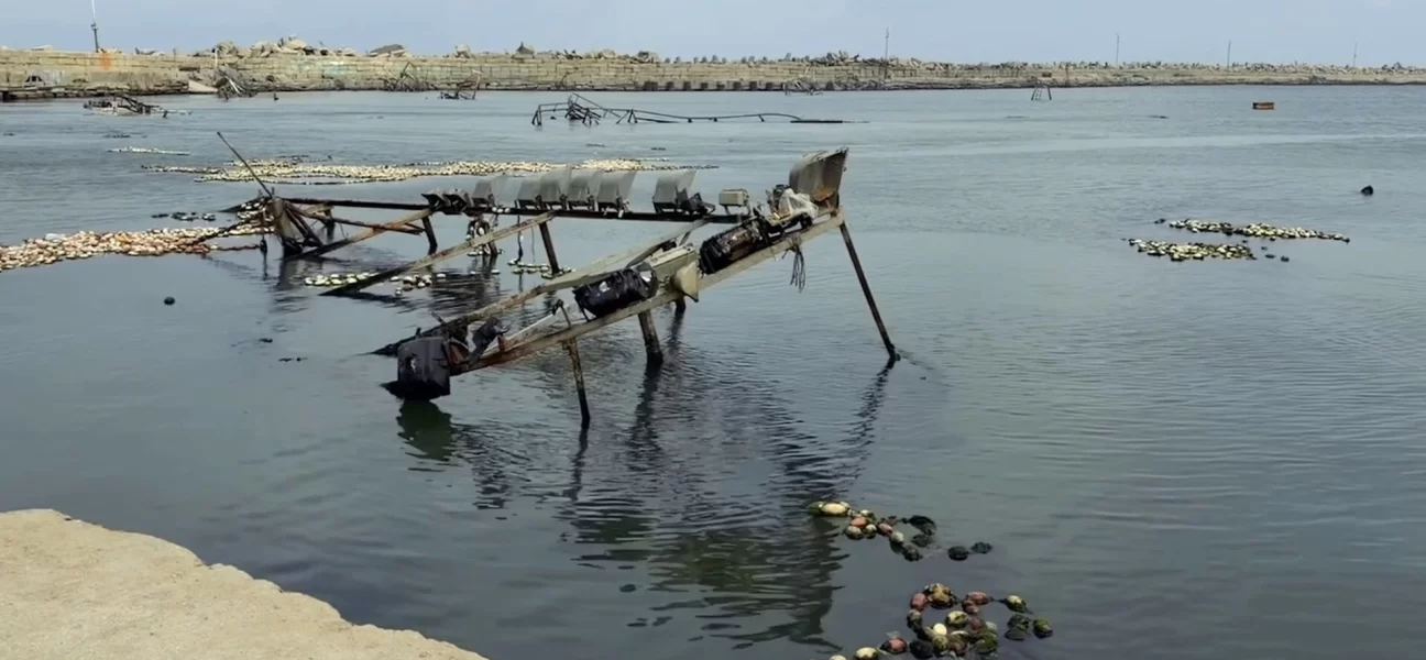 Gazze'de balıkçılık sektörü yok olma tehlikesiyle karşı karşıya