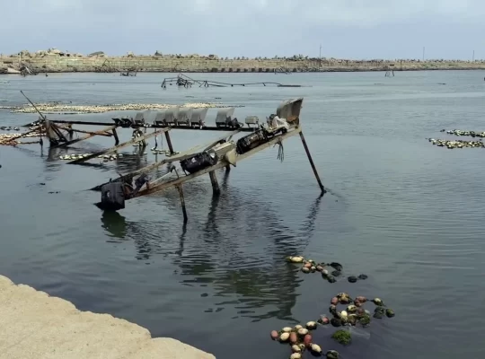 Gazze'de balıkçılık sektörü yok olma tehlikesiyle karşı karşıya