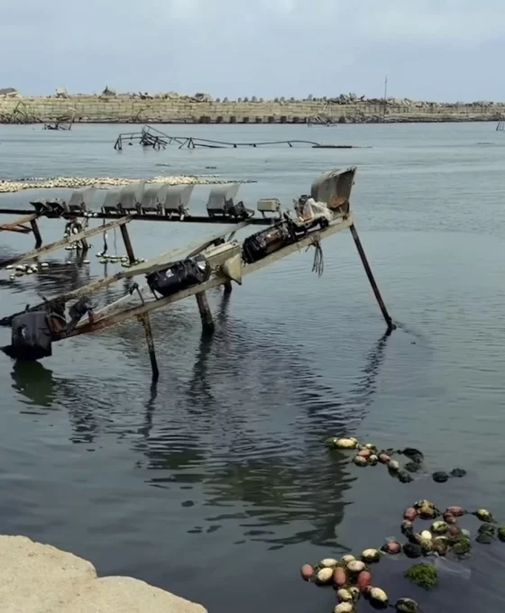 Gazze'de balıkçılık sektörü yok olma tehlikesiyle karşı karşıya