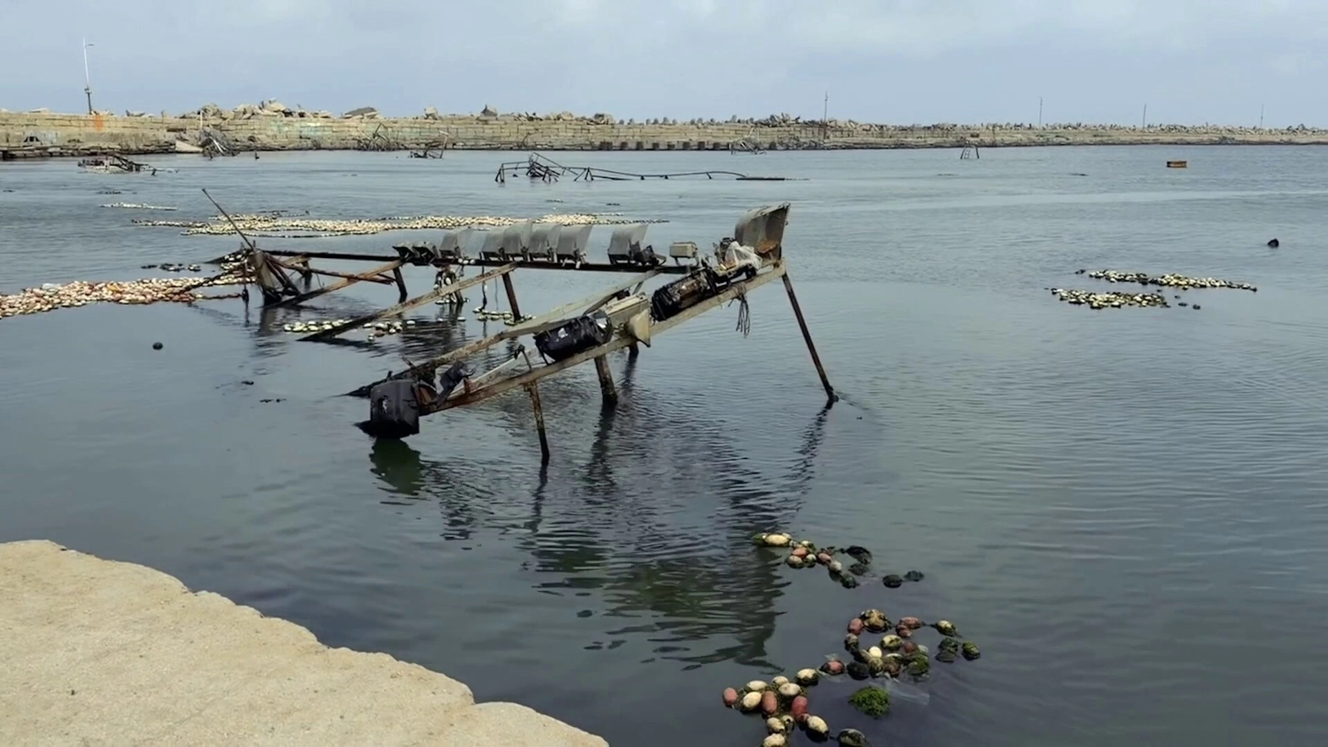 Gazze'de balıkçılık sektörü yok olma tehlikesiyle karşı karşıya