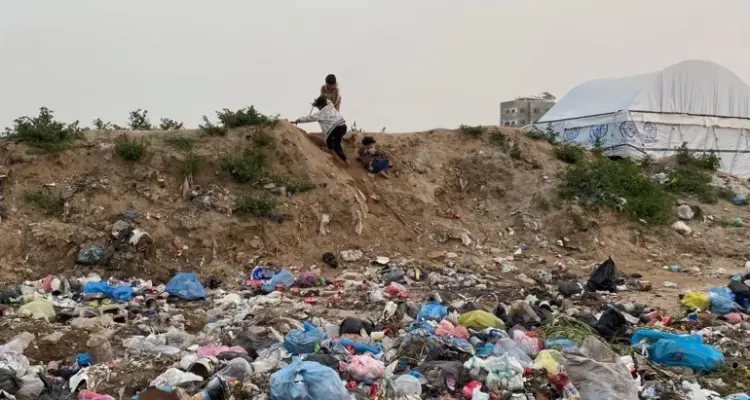 Gazze'de "fare ve salgın" savaşı: İsrail atıkları silah olarak kullanıyor