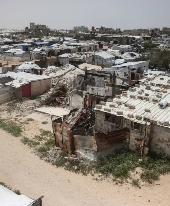 Gazze'de kavurucu sıcaklar: Haşere ve kemirgen istilası yaşamı tehdit ediyor