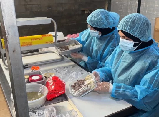 Gazzeli kadınlar yıkılan hayallerini çadırlarda yeniden inşa ediyor