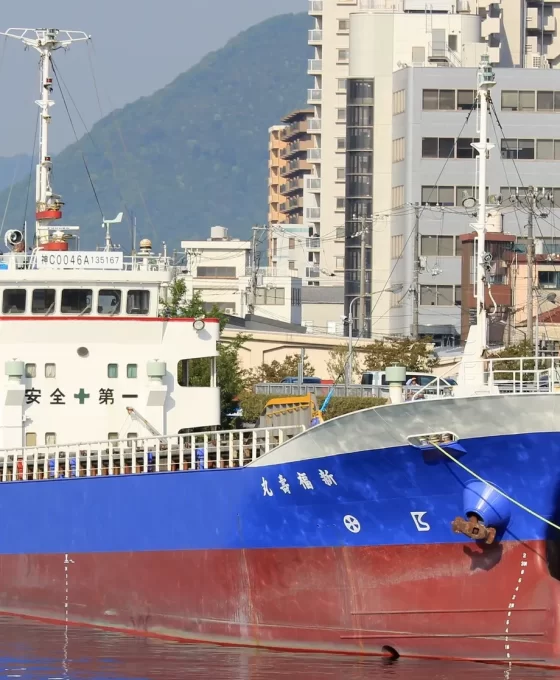 Hürmüz Boğazı'nda kısıtlı trafik: 8 gemi geçiş yaptı