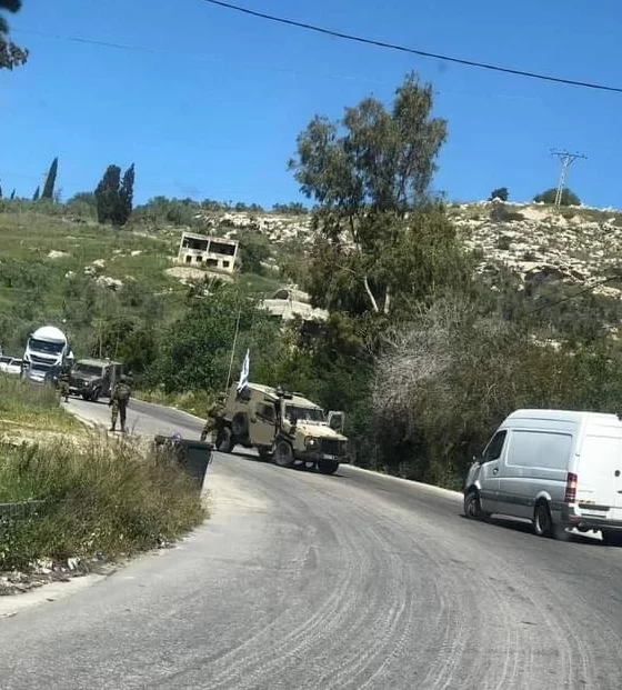 İsrail Cenin'de tarım arazilerini hedef aldı