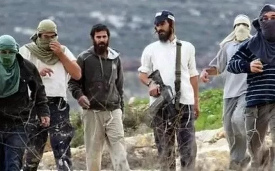 Nablus'ta tarım arazilerine yönelik saldırı