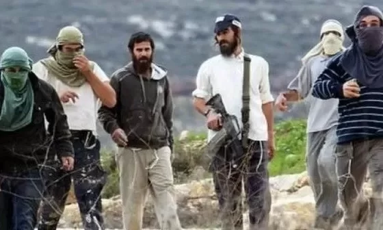 Nablus'ta tarım arazilerine yönelik saldırı