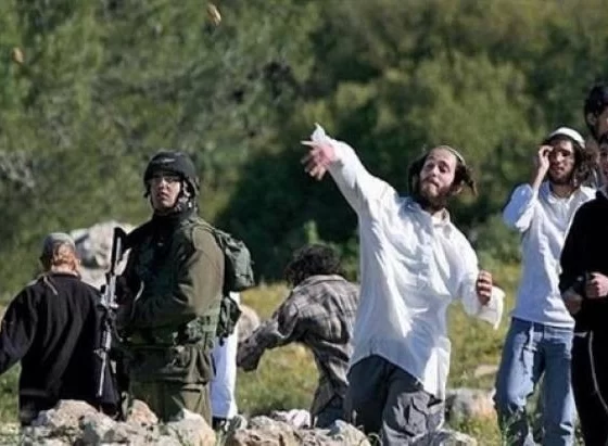 Ramallah'ta yerleşimci saldırısı: Bir Filistinli yaralandı