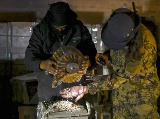 Sudan'da Captagon tehdidi: Savaşın gölgesinde yeni merkez