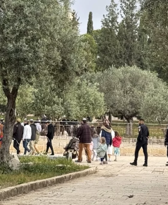 Arafat gününde Mescid-i Aksa'ya baskın