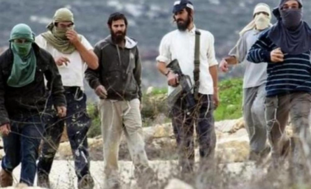 Batı Şeria'da yerleşimci şiddeti: Bir Filistinli yaralandı