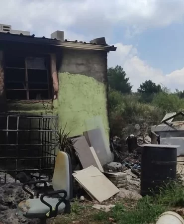 Batı Şeria'da yerleşimci şiddeti ve ağaç katliamı
