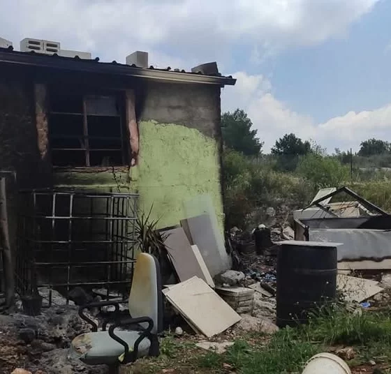Batı Şeria'da yerleşimci şiddeti ve ağaç katliamı