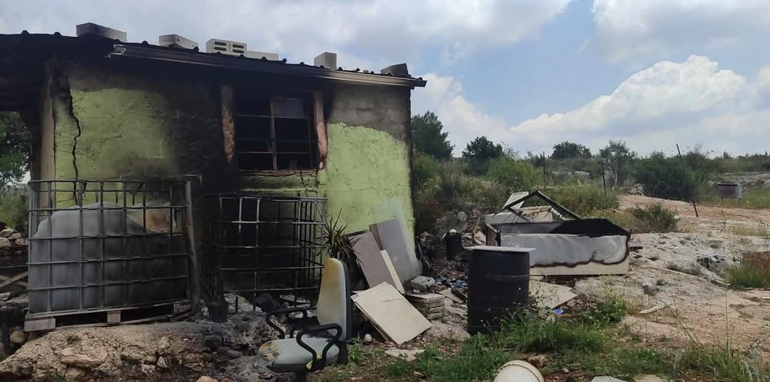 Batı Şeria'da yerleşimci şiddeti ve ağaç katliamı