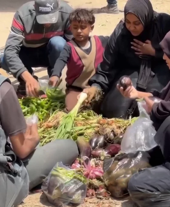 Gazze'de ateşkes sonrası ekonomik yıkım: Fiyatlar el yakıyor