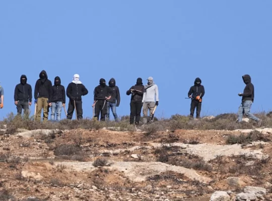 Batı Şeria’da Yahudi yerleşimci terörü: Evler ve araziler hedefte