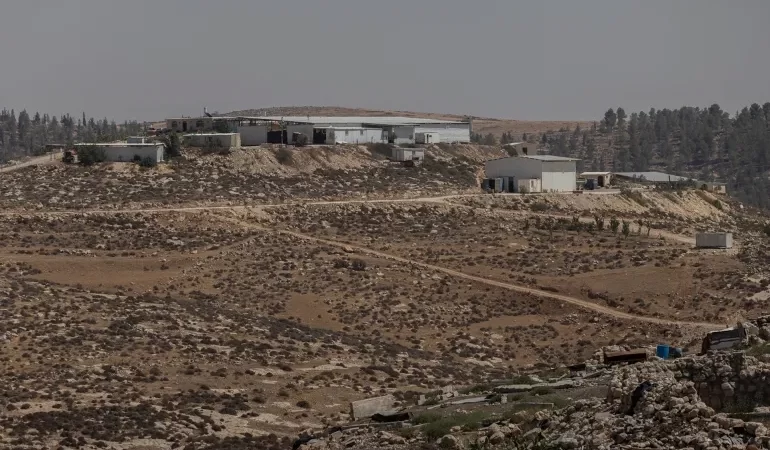 El Halil'de hayvancılık bahanesiyle binlerce dönüm gasp ediliyor