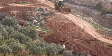 Filistin'de altın sarısı kâbus: Hasat ateşe veriliyor!