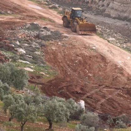 Filistin'de altın sarısı kâbus: Hasat ateşe veriliyor!