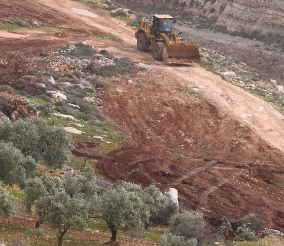 Filistin'de altın sarısı kâbus: Hasat ateşe veriliyor!
