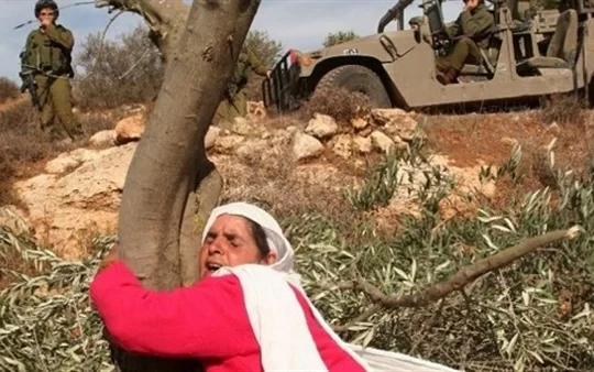 İsrail'den Beytüllahim'de yeni el koyma kararı: 320 dönüm arazi hedefte