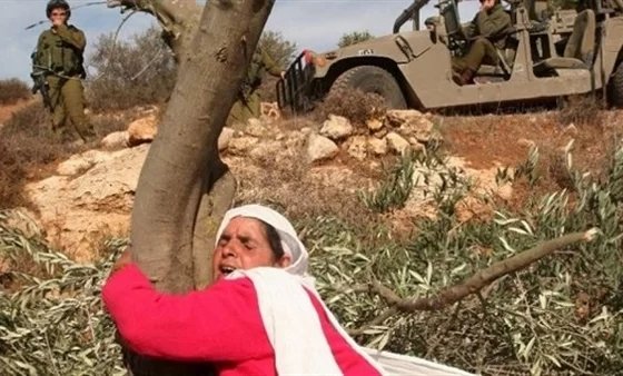 İsrail'den Beytüllahim'de yeni el koyma kararı: 320 dönüm arazi hedefte
