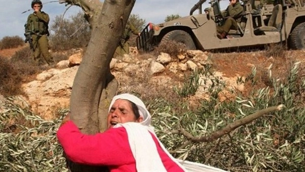 İsrail'den Beytüllahim'de yeni el koyma kararı: 320 dönüm arazi hedefte