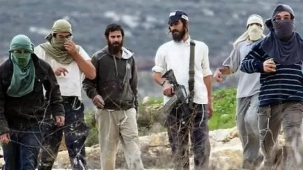 Kudüs'te baskın: Yerleşimciler Bedevi köyünü hedef aldı