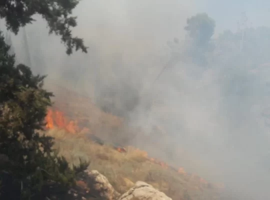 Madama'da yerleşimci saldırısı: Evlere ateş, tarlalara kundak