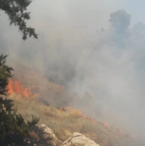 Madama'da yerleşimci saldırısı: Evlere ateş, tarlalara kundak