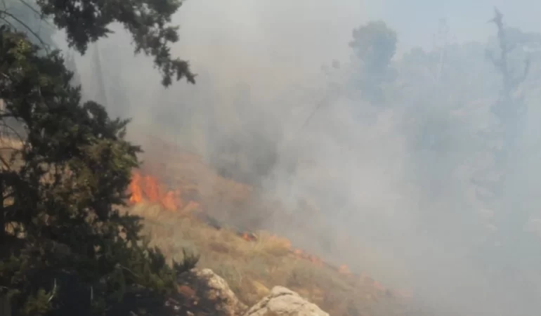 Madama'da yerleşimci saldırısı: Evlere ateş, tarlalara kundak