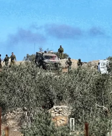 Tubas’ta büyük toprak gaspı: 1292 dönüm araziye el konuldu