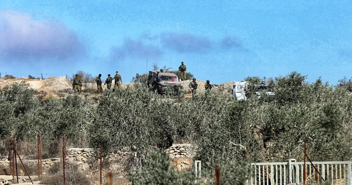 Tubas’ta büyük toprak gaspı: 1292 dönüm araziye el konuldu