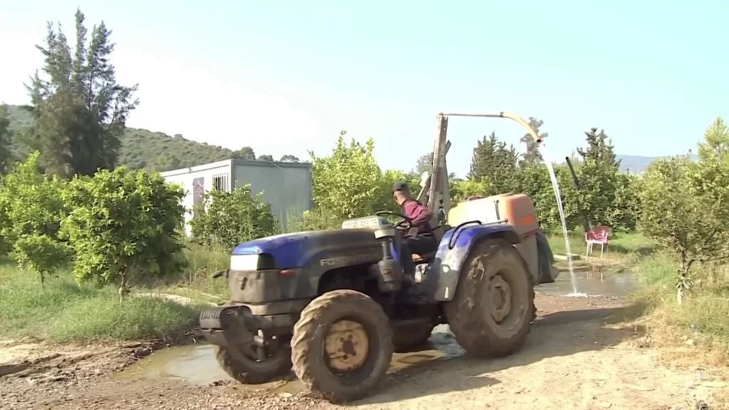 Cezayir’de kavurucu sıcaklar: Çiftçiler için yeni dönem başladı
