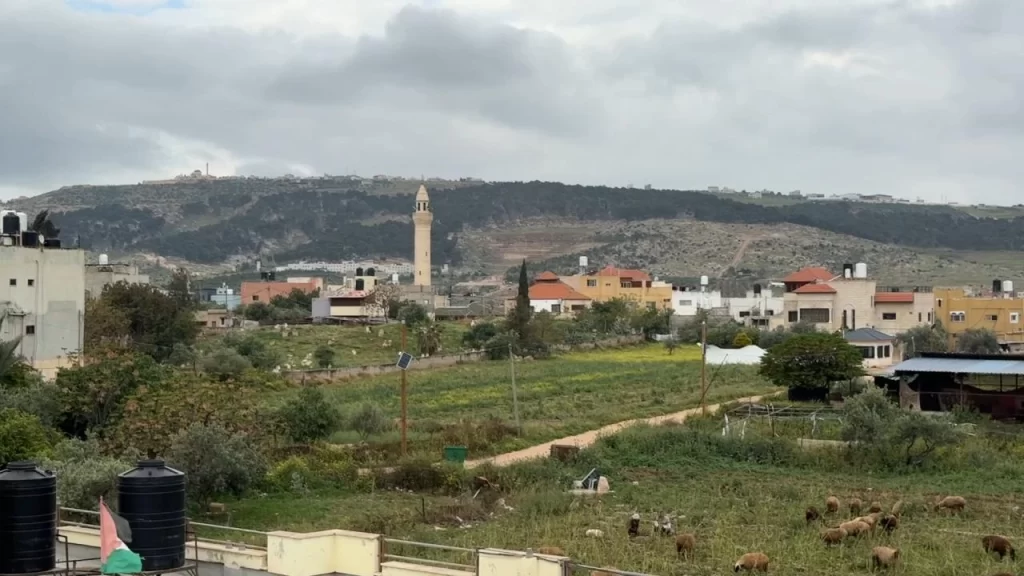 İsrail’den Tubas’ta tarım katliamı: Yüzlerce ağaç söküldü
