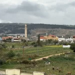 İsrail’den Tubas’ta tarım katliamı: Yüzlerce ağaç söküldü
