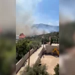 Ramallah'ta saldırı: Onlarca zeytin ağacı ateşe verildi