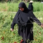 Lübnan'da savaşın yükü kadınların omuzunda: Hayata tutunma mücadelesi