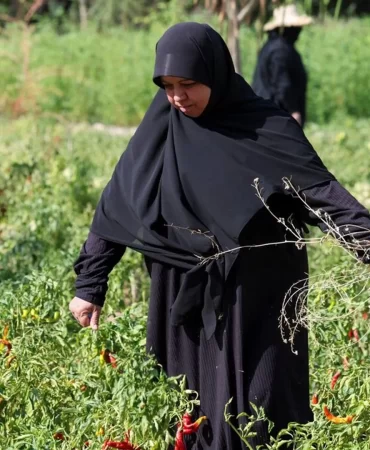 Lübnan'da savaşın yükü kadınların omuzunda: Hayata tutunma mücadelesi
