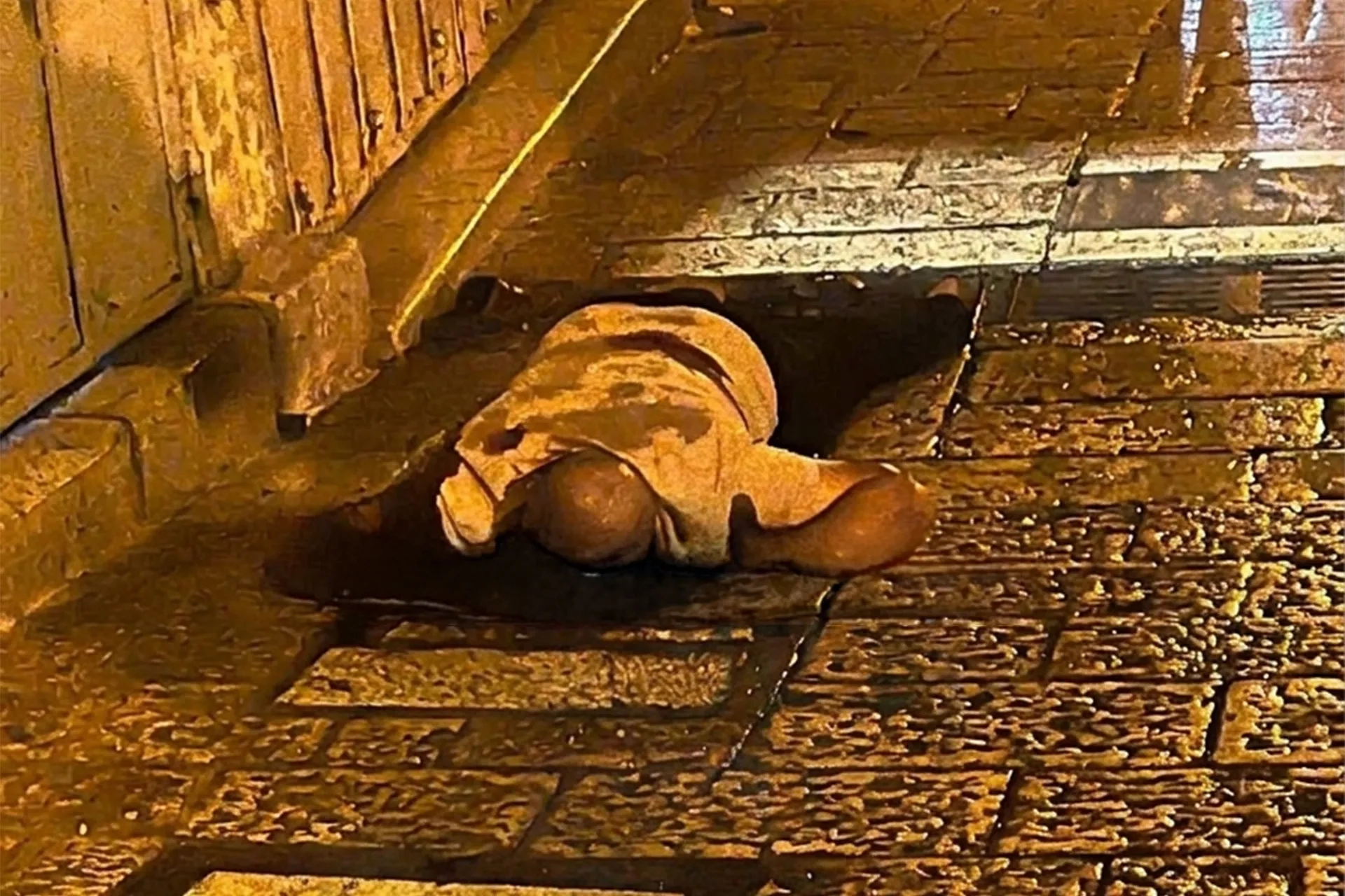 Kudüs'te Şam Kapısı yakınında İsrail polisinden kanlı saldırı