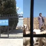 WFP yardımları yarıya indi: Batı Şeria'da açlık riski büyüyor