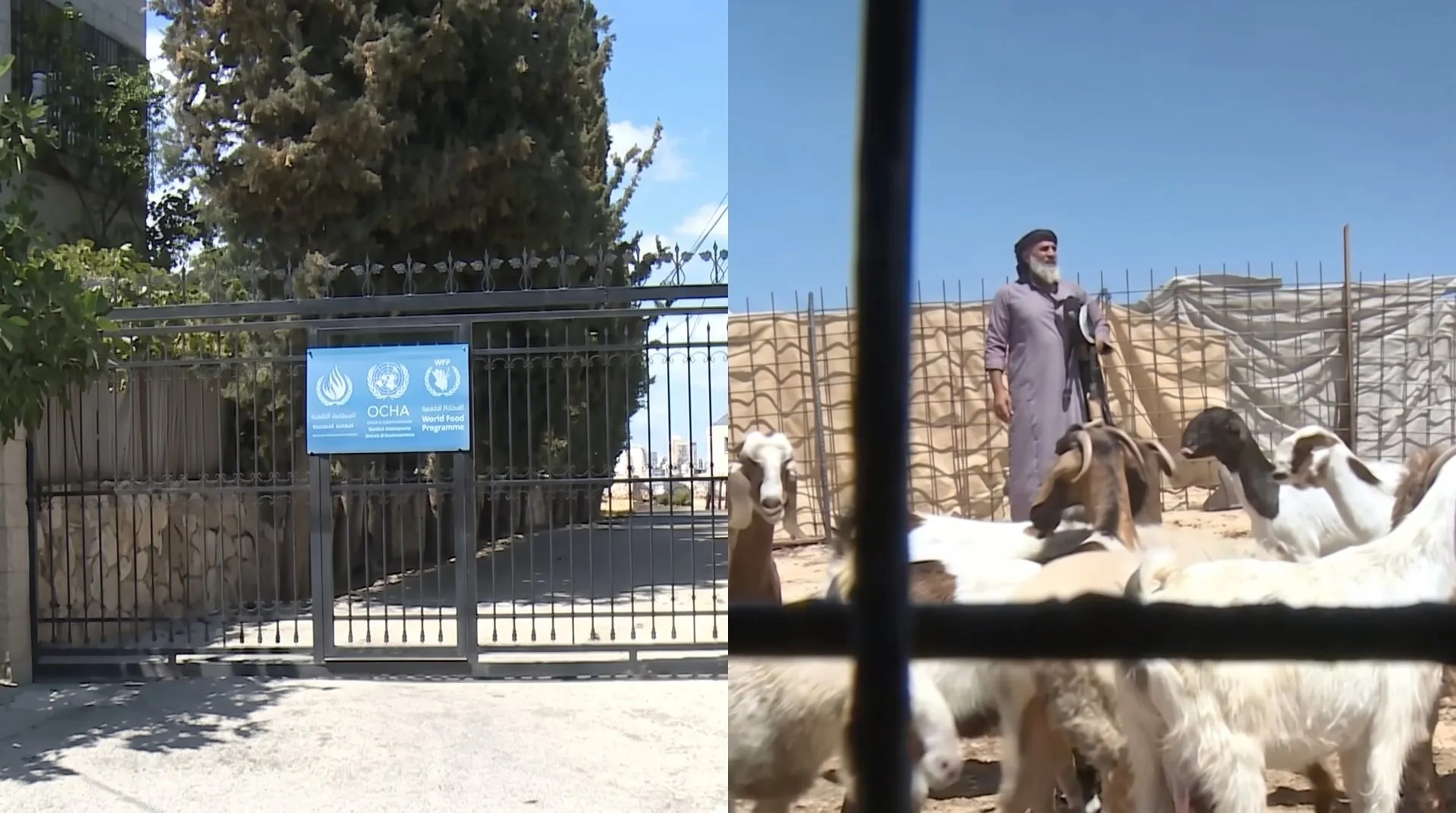 WFP yardımları yarıya indi: Batı Şeria'da açlık riski büyüyor